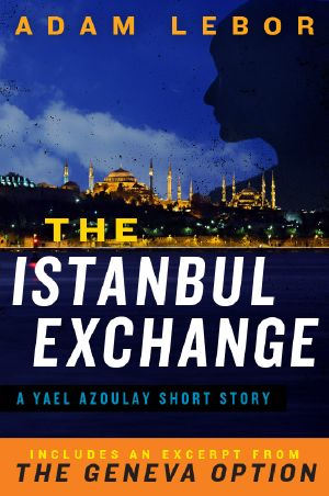 [Yael Azoulay 2.50] • The Istanbul Exchange